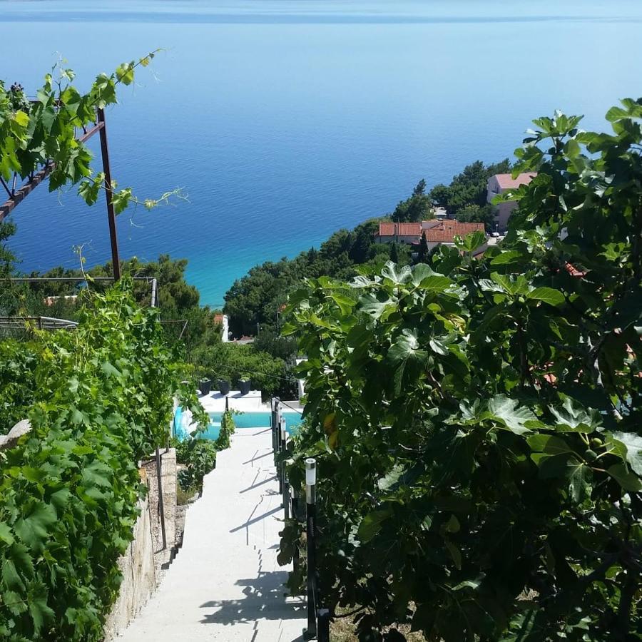 Waterview Apartments - Koru Apartment And Pool Mimice Εξωτερικό φωτογραφία