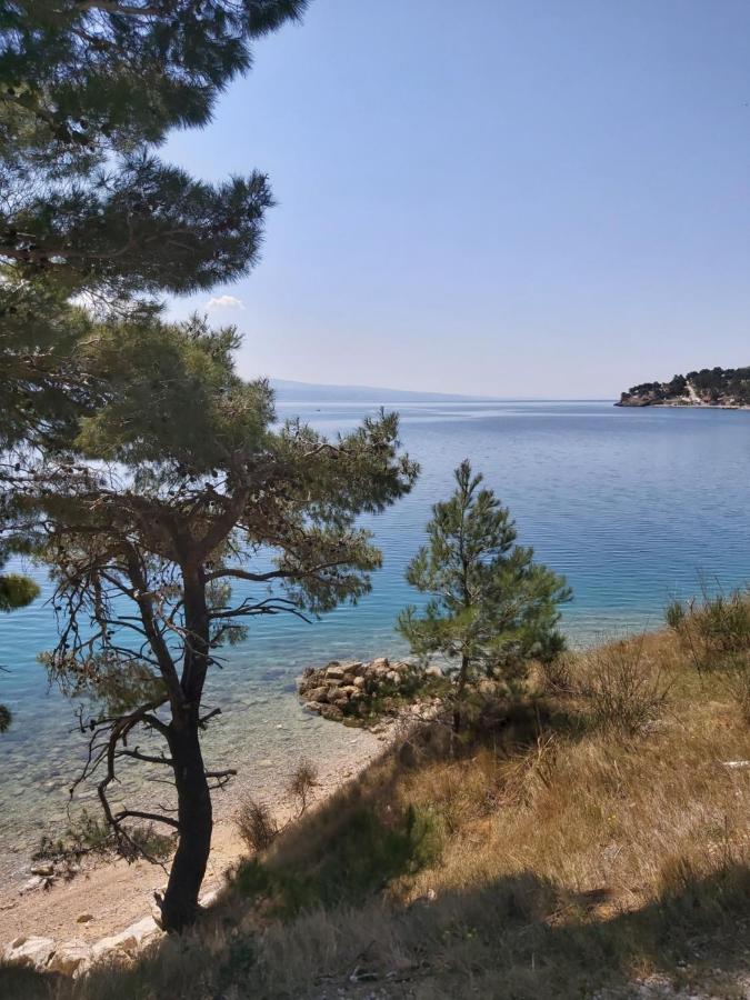 Waterview Apartments - Koru Apartment And Pool Mimice Εξωτερικό φωτογραφία