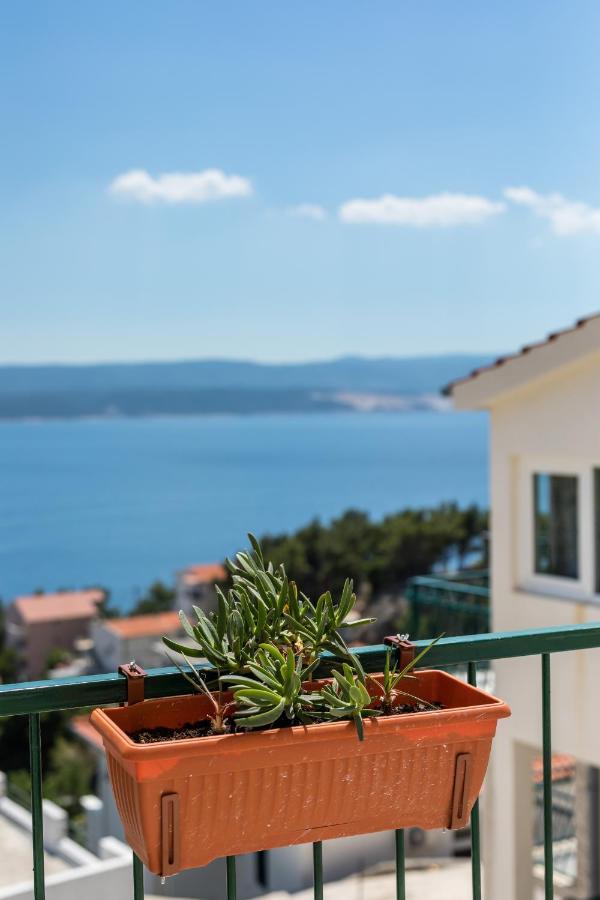 Waterview Apartments - Koru Apartment And Pool Mimice Εξωτερικό φωτογραφία